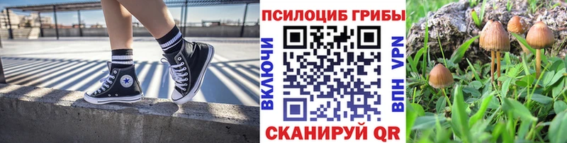 Купить где  Ковдор  Псилоцибиновые грибы мухоморы 